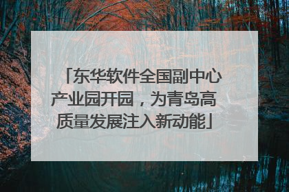 东华软件全国副中心产业园开园，为青岛高质量发展注入新动能