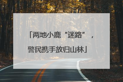 两地小鹿“迷路”，警民携手放归山林