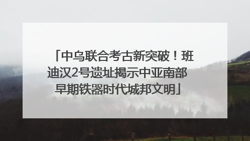 中乌联合考古新突破！班迪汉2号遗址揭示中亚南部早期铁器时代城邦文明