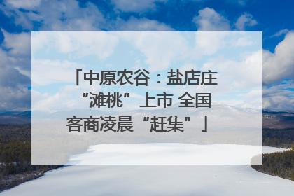 中原农谷：盐店庄“滩桃”上市 全国客商凌晨“赶集”