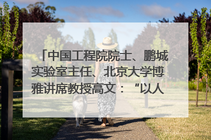 中国工程院院士、鹏城实验室主任、北京大学博雅讲席教授高文：“以人为本 智能向善” 推动文化与科技相生相促｜聚焦2025文化强国建设高峰论坛