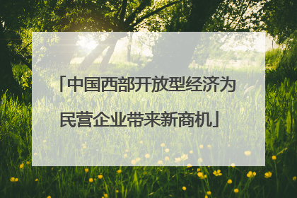 中国西部开放型经济为民营企业带来新商机