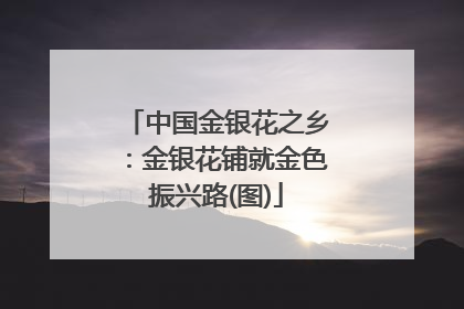中国金银花之乡：金银花铺就金色振兴路(图)