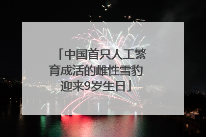 中国首只人工繁育成活的雌性雪豹迎来9岁生日