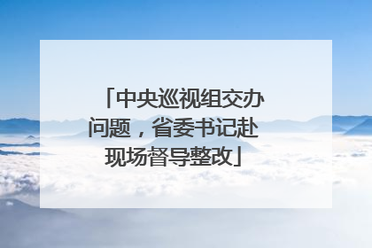 中央巡视组交办问题，省委书记赴现场督导整改