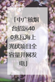中广核烟台招远400兆瓦海上光伏项目全容量并网发电