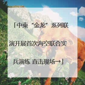 中柬“金龙”系列联演开展首次海空联合实兵演练 直击现场→