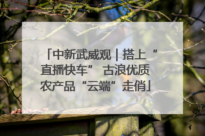 中新武威观｜搭上“直播快车” 古浪优质农产品“云端”走俏