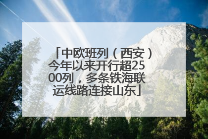 中欧班列（西安）今年以来开行超2500列，多条铁海联运线路连接山东