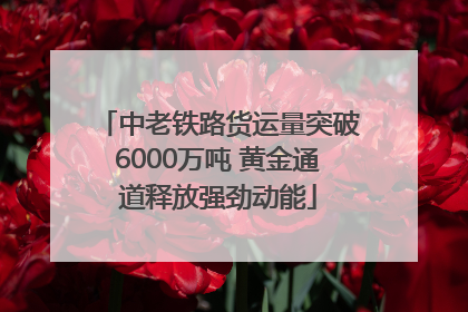 中老铁路货运量突破6000万吨 黄金通道释放强劲动能