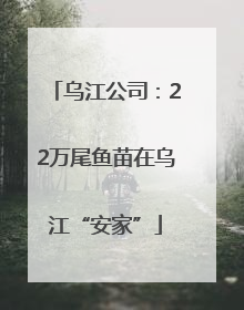 乌江公司：22万尾鱼苗在乌江“安家”