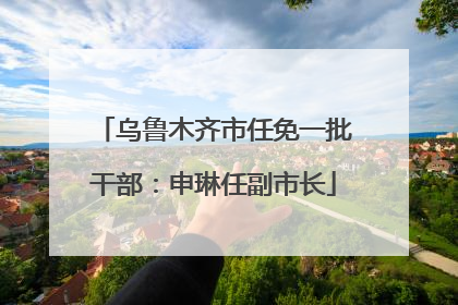 乌鲁木齐市任免一批干部：申琳任副市长