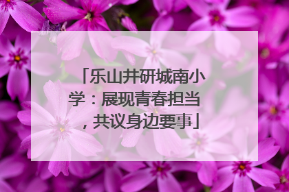 乐山井研城南小学：展现青春担当，共议身边要事