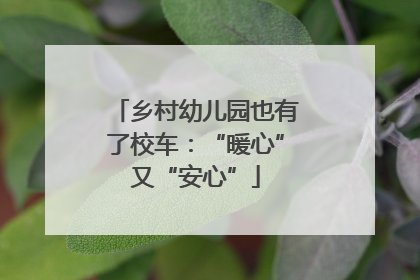乡村幼儿园也有了校车：“暖心”又“安心”