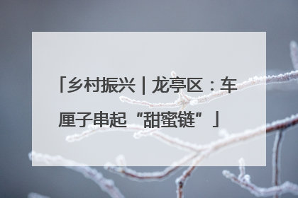 乡村振兴｜龙亭区：车厘子串起“甜蜜链”