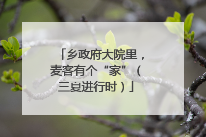 乡政府大院里，麦客有个“家”（三夏进行时）