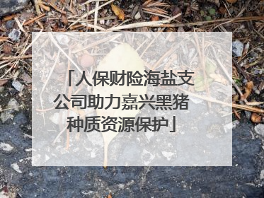 人保财险海盐支公司助力嘉兴黑猪种质资源保护