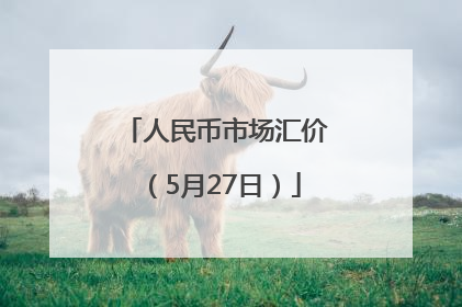 人民币市场汇价（5月27日）