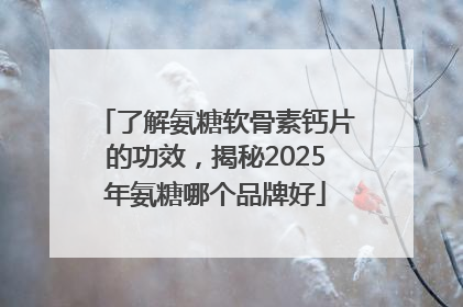 了解氨糖软骨素钙片的功效，揭秘2025年氨糖哪个品牌好
