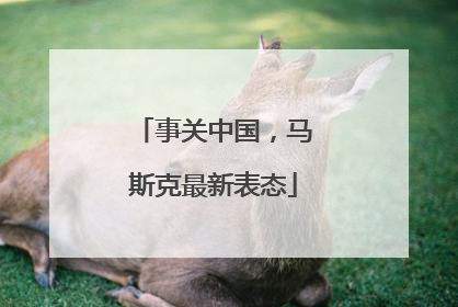 事关中国，马斯克最新表态