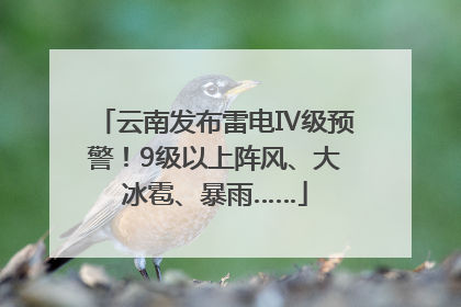 云南发布雷电Ⅳ级预警！9级以上阵风、大冰雹、暴雨……