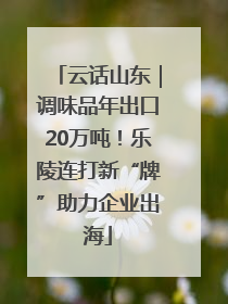 云话山东｜调味品年出口20万吨！乐陵连打新“牌”助力企业出海