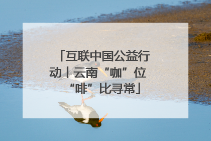 互联中国公益行动丨云南“咖”位“啡”比寻常