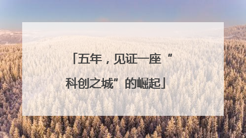 五年，见证一座“科创之城”的崛起