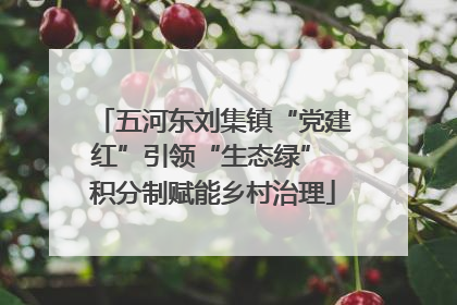 五河东刘集镇“党建红”引领“生态绿” 积分制赋能乡村治理