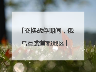 交换战俘期间，俄乌互袭首都地区