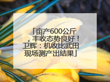 亩产600公斤，丰收态势良好！卫辉：机收比武田现场测产出结果