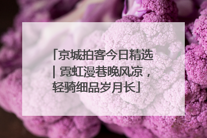 京城拍客今日精选｜霓虹漫巷晚风凉，轻骑细品岁月长