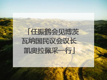任振鹤会见博茨瓦纳国民议会议长凯奥拉佩采一行