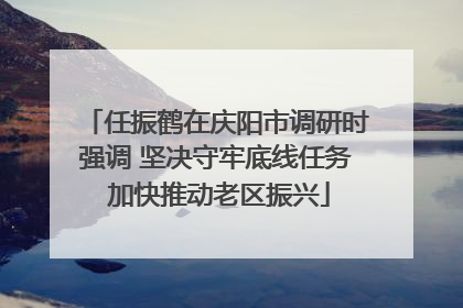 任振鹤在庆阳市调研时强调 坚决守牢底线任务 加快推动老区振兴