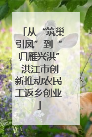 从“筑巢引凤”到“归雁兴洪” 洪江市创新推动农民工返乡创业