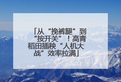 从“挽裤腿”到“按开关”！高青稻田插秧“人机大战”效率拉满
