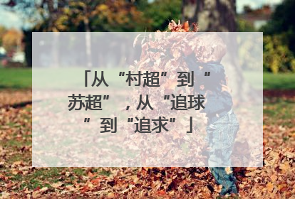 从“村超”到“苏超”，从“追球”到“追求”
