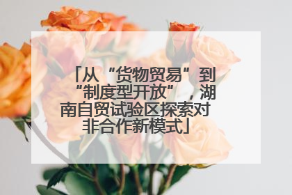 从“货物贸易”到“制度型开放”，湖南自贸试验区探索对非合作新模式