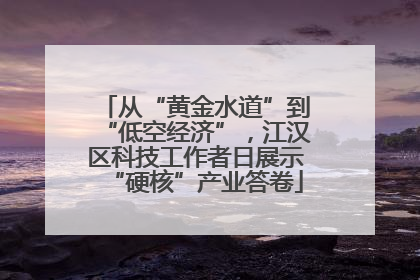 从“黄金水道”到“低空经济”，江汉区科技工作者日展示“硬核”产业答卷