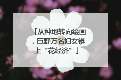 从种地转向绘画，巨野万名妇女链上“花经济”