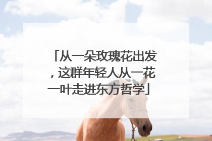 从一朵玫瑰花出发，这群年轻人从一花一叶走进东方哲学