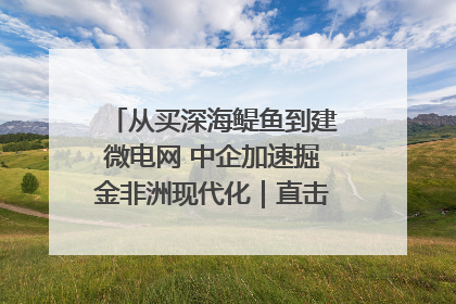 从买深海鳀鱼到建微电网 中企加速掘金非洲现代化｜直击中非经贸博览会