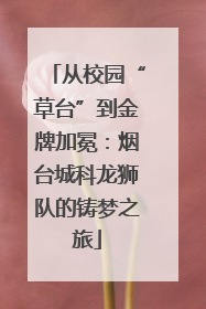 从校园“草台”到金牌加冕：烟台城科龙狮队的铸梦之旅