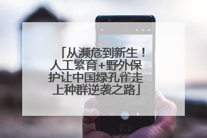 从濒危到新生！人工繁育+野外保护让中国绿孔雀走上种群逆袭之路