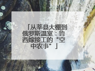 从莘县大棚到俄罗斯温室：鲁西嫁接工的“空中农事”