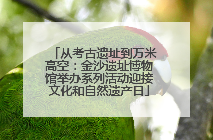从考古遗址到万米高空：金沙遗址博物馆举办系列活动迎接文化和自然遗产日