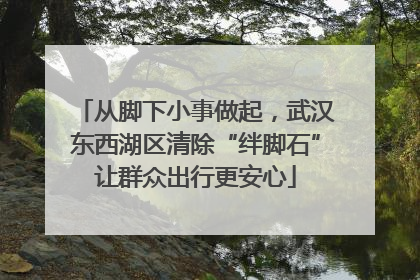 从脚下小事做起，武汉东西湖区清除“绊脚石”让群众出行更安心