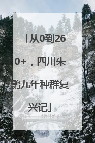 从0到260+，四川朱鹮九年种群复兴记