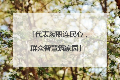 代表履职连民心，群众智慧筑家园
