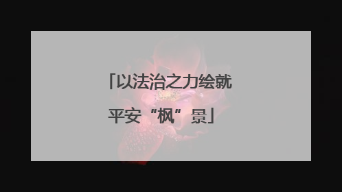 以法治之力绘就平安“枫”景